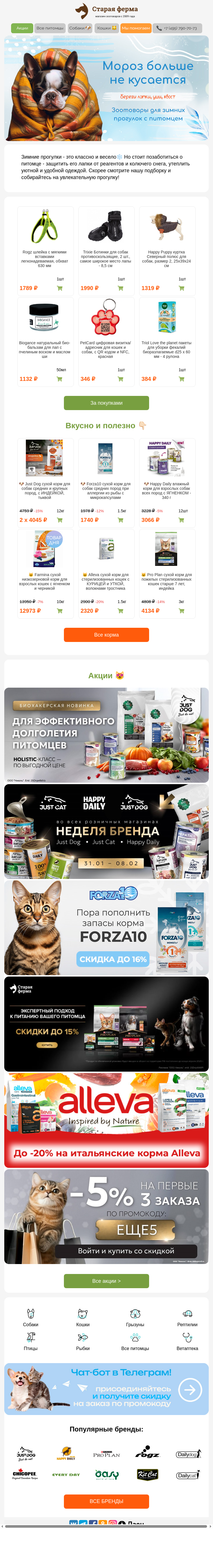 Письмо компании «Старая Ферма» на тему «Мороз больше не кусается 😉 Собираем питомца на прогулку в холода ❄️»