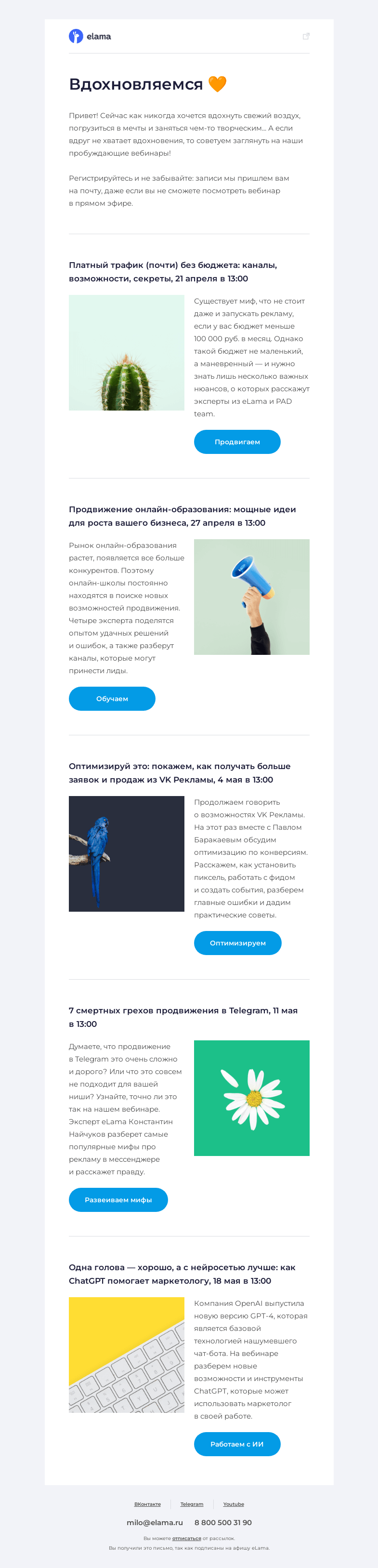 Письмо компании «Elama» на тему «🌱 Вдохновляемся весной и смотрим подборку вебинаров»