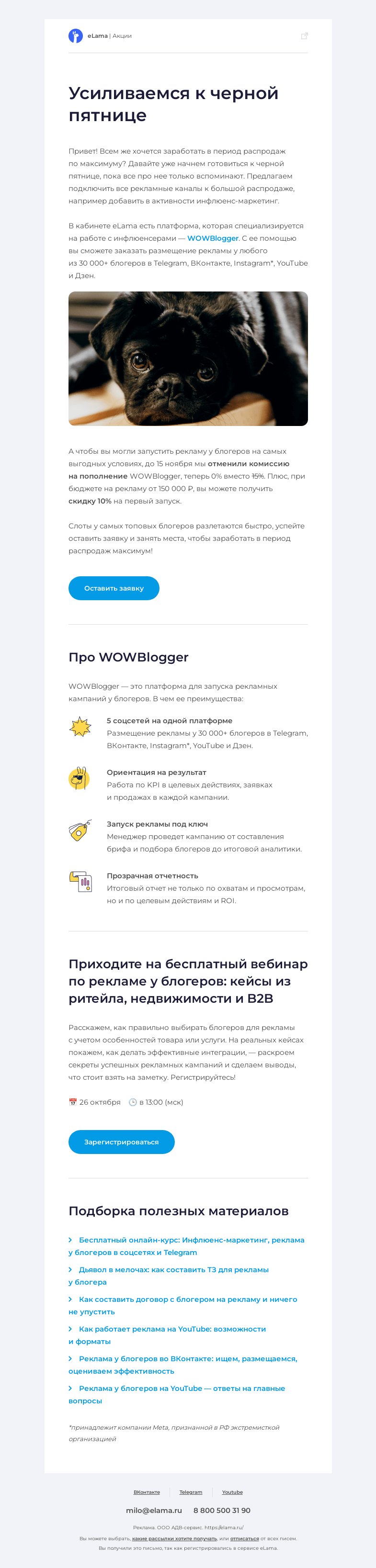 Письмо компании «Elama» на тему «Займите слоты у блогеров к черной пятнице»