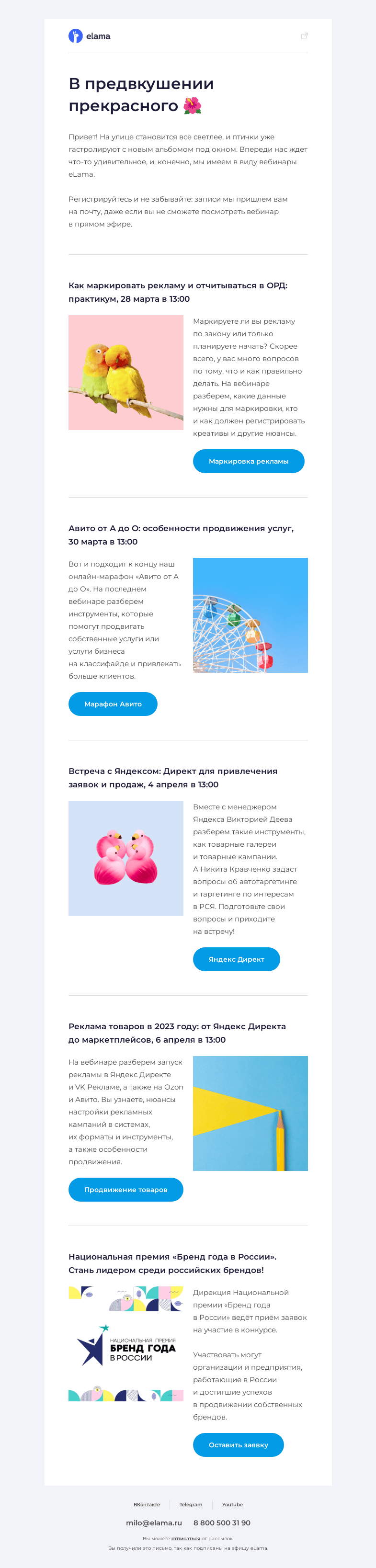 Письмо компании «Elama» на тему «😻 Подборка долгожданных вебинаров»