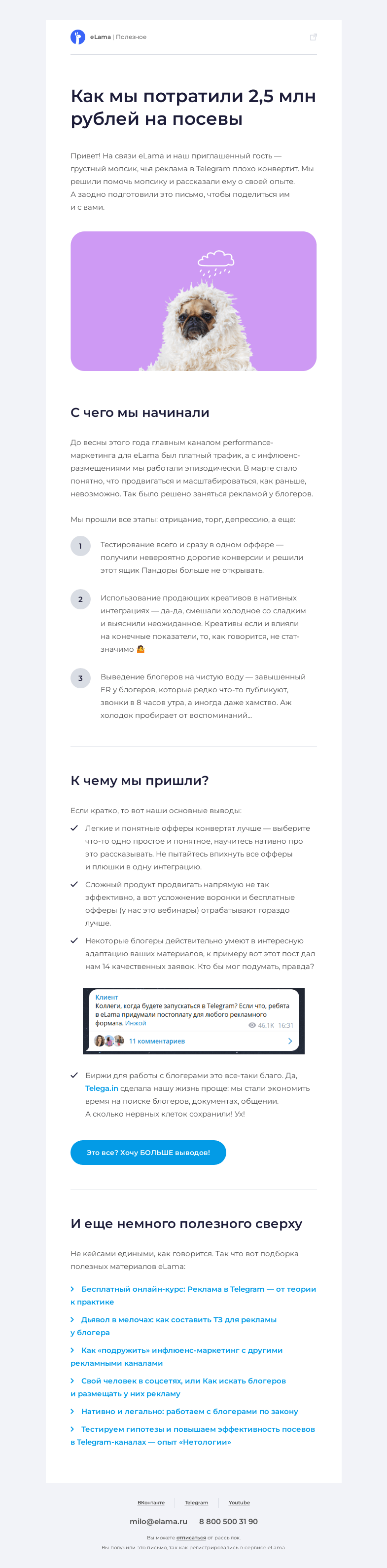 Письмо компании «Elama» на тему «🌲 Делимся шишками и инсайтами по работе с блогерами»
