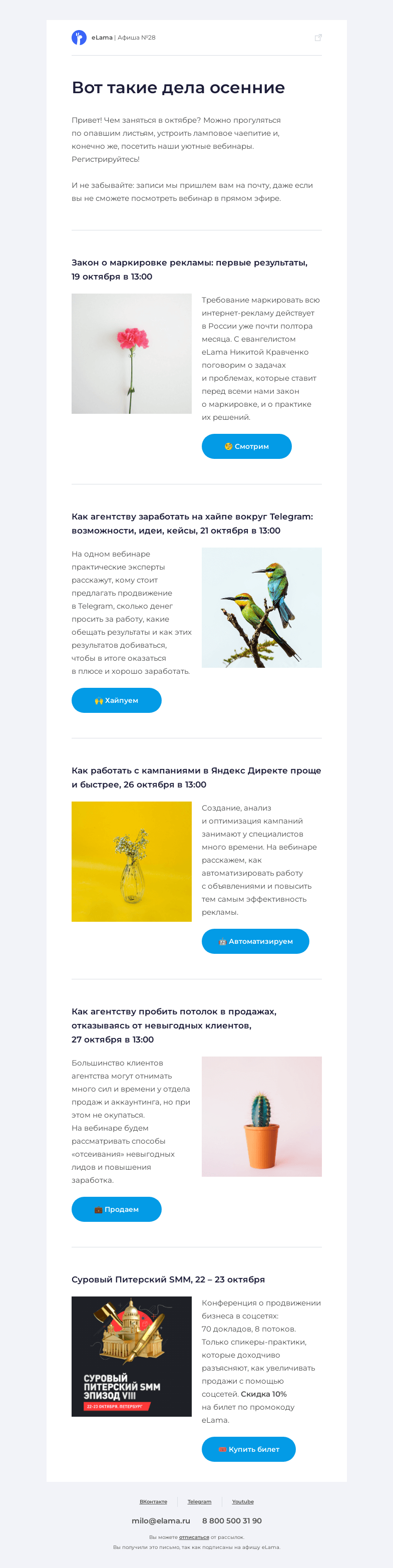 Письмо компании «Elama» на тему «🌚 Настроение — осень»