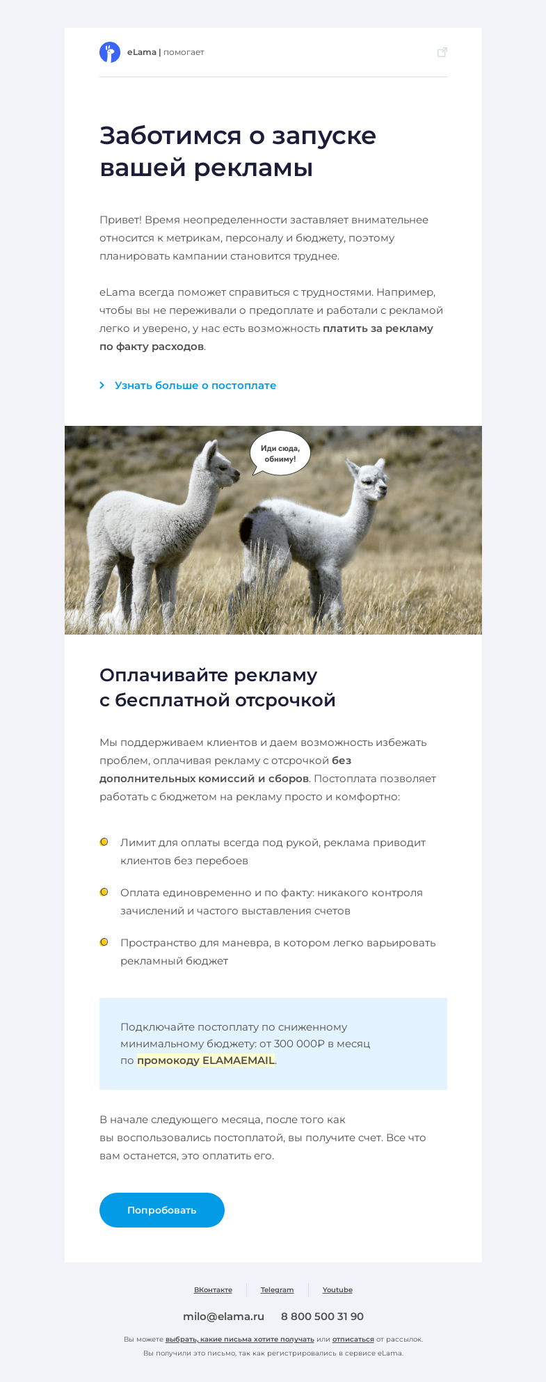 Письмо компании «Elama» на тему «🌸 Поддерживаем с запуском рекламы»
