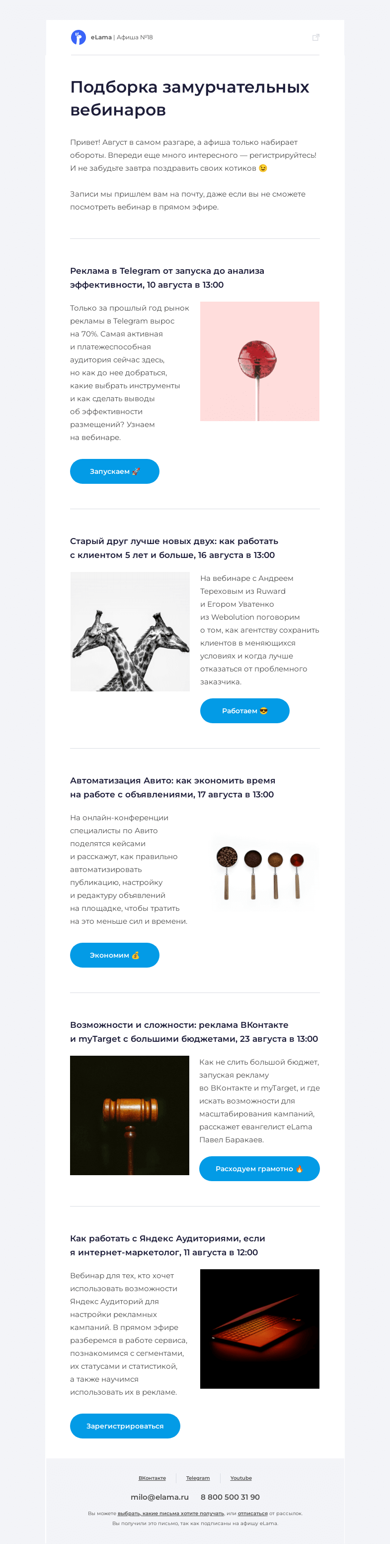 Письмо компании «Elama» на тему «🐈 Гладим котов, читаем афишу»