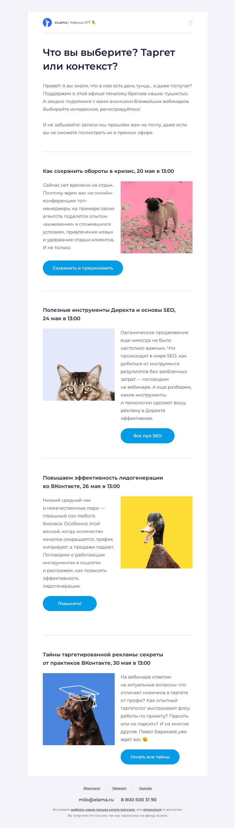 Письмо компании «Elama» на тему «💎 Как сохранить и преумножить обороты в кризис?»