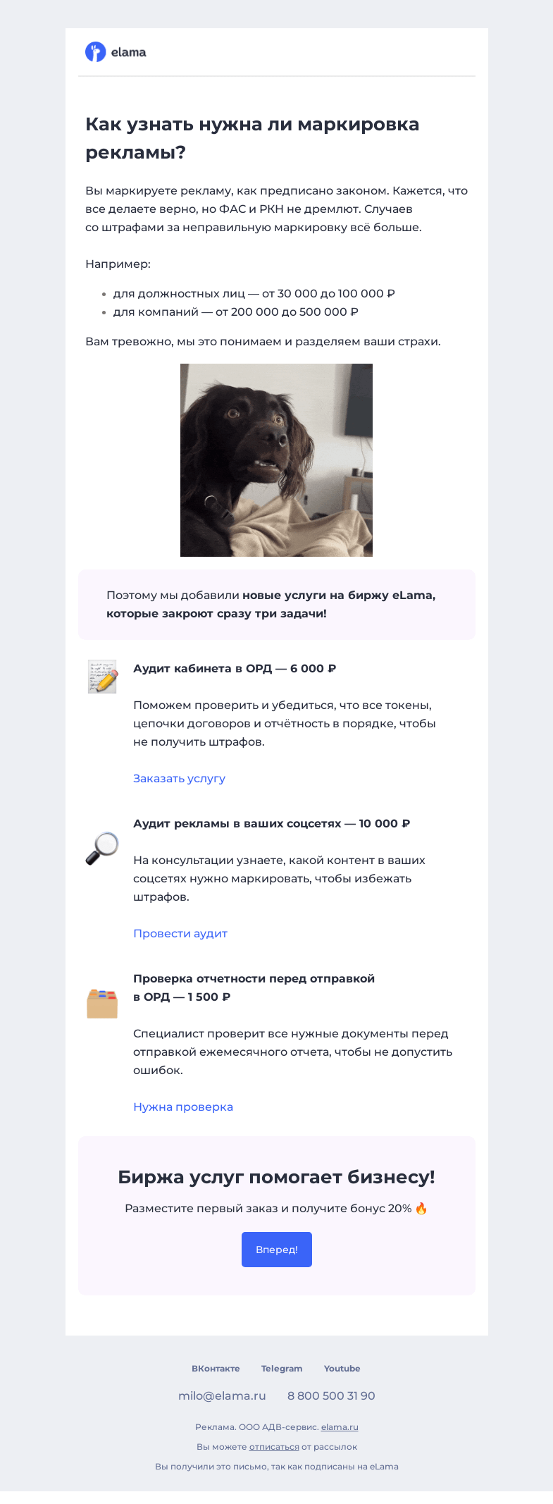 Письмо компании «Elama» на тему «Маркировать или нет? 🤔»