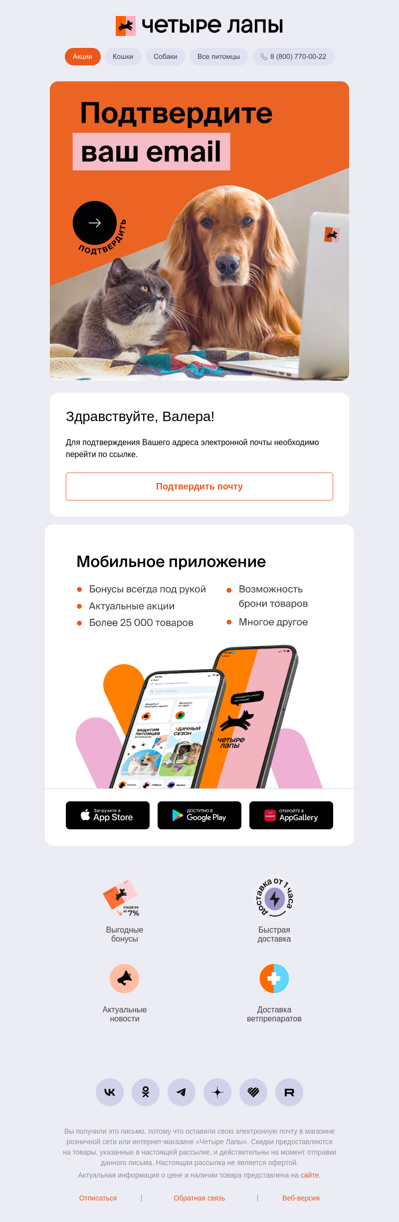 Письмо компании «Четыре Лапы» на тему «Подтвердите электронную почту»