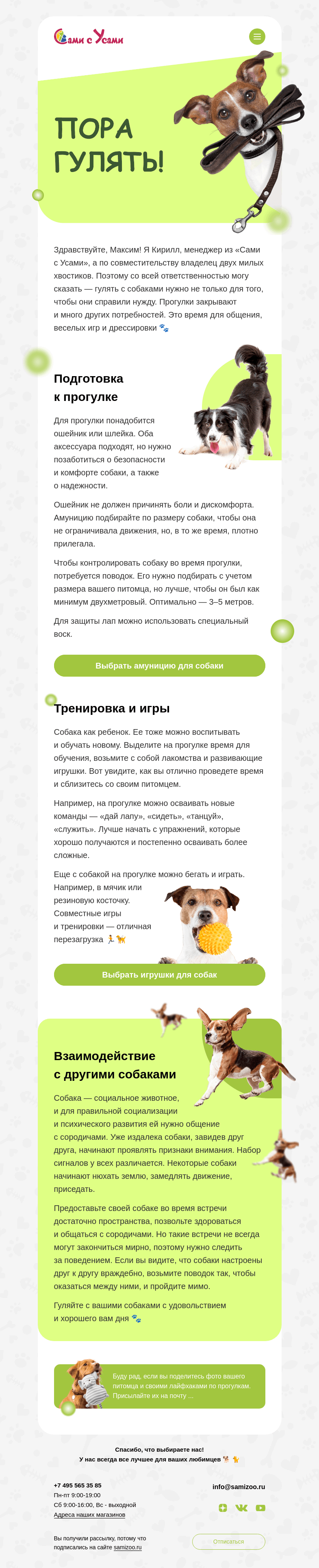 Письмо компании «Сами с Усами» на тему «Идем на прогулку с собакой»