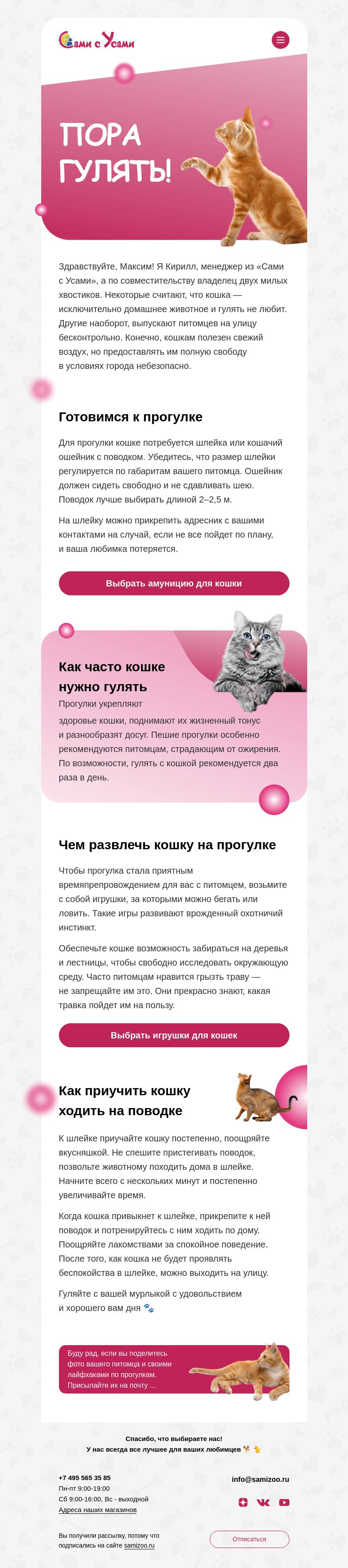 Письмо компании «Сами с Усами» на тему «Идем на прогулку с кошкой»