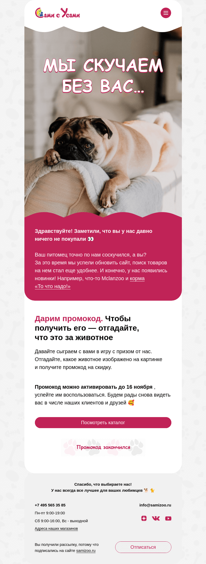 Письмо компании «Сами с Усами» на тему «Возвращайтесь 🤗»