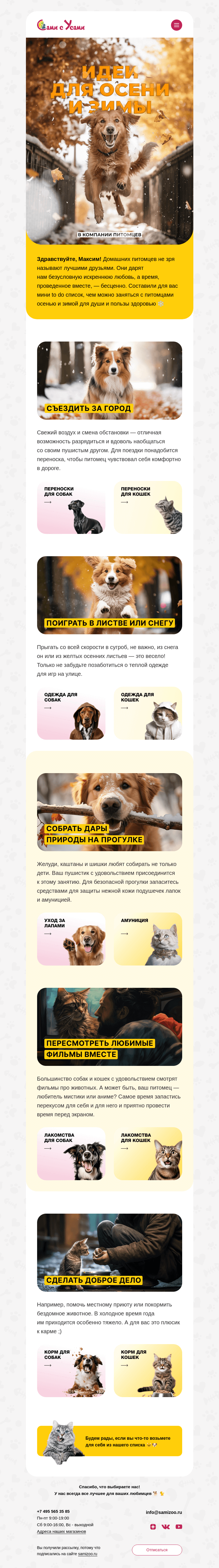 Письмо компании «Сами с Усами» на тему «To do список»