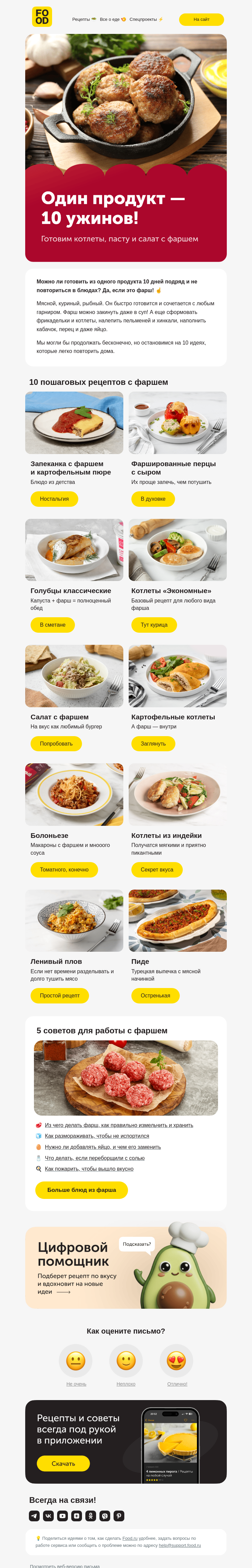 Письмо компании «FOOD.RU» на тему «10 рецептов с фаршем 🥩»