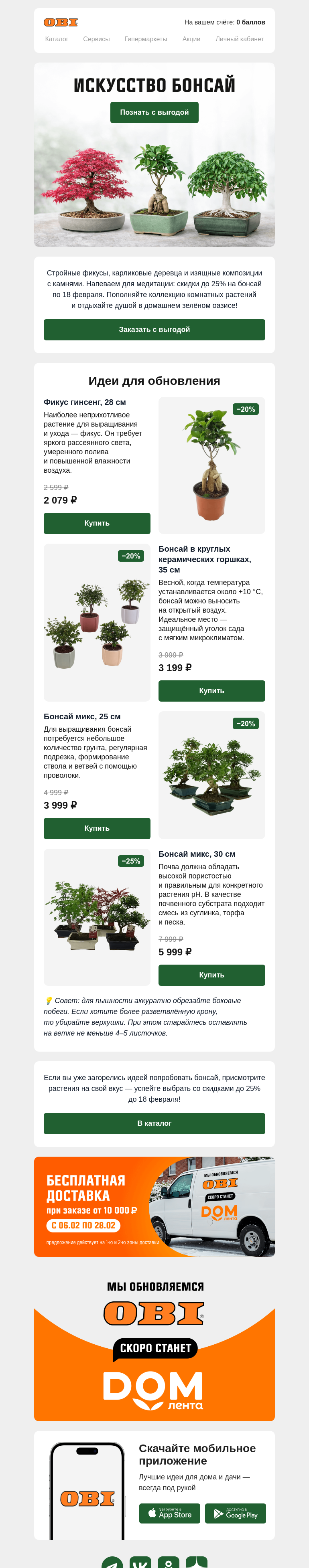 Письмо компании «OBI» на тему «Бонсай, коничива»