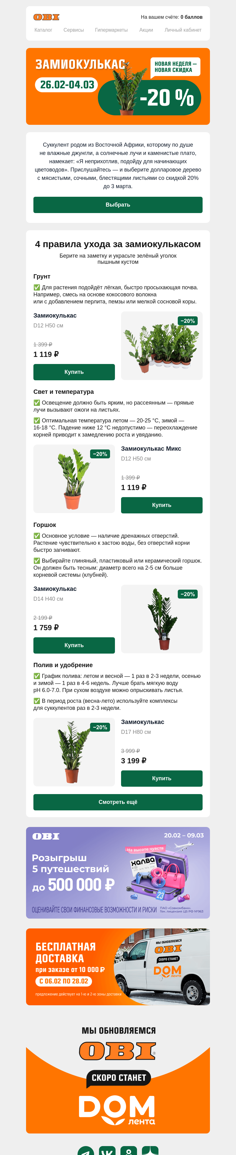 Письмо компании «OBI» на тему «Скидка 20% на замиокулькас 🌿»
