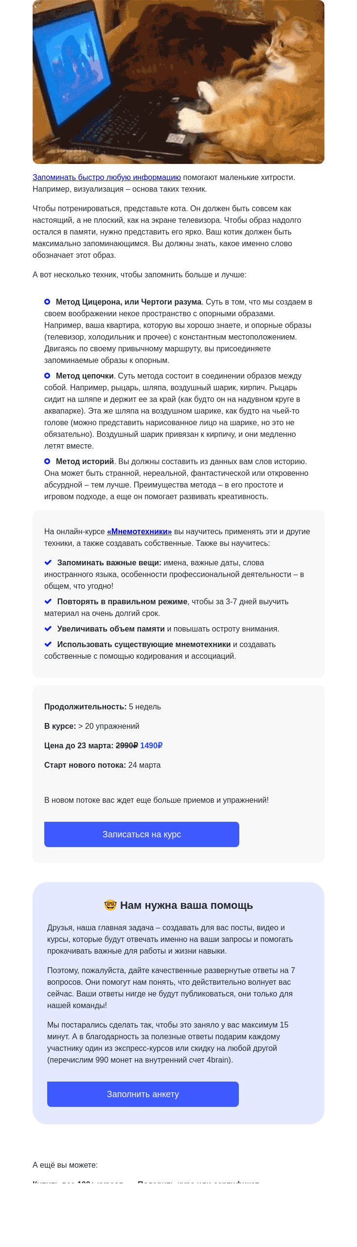 Письмо компании «4Brain» на тему «🙀 Как впихнуть кота в Чертоги разума?»