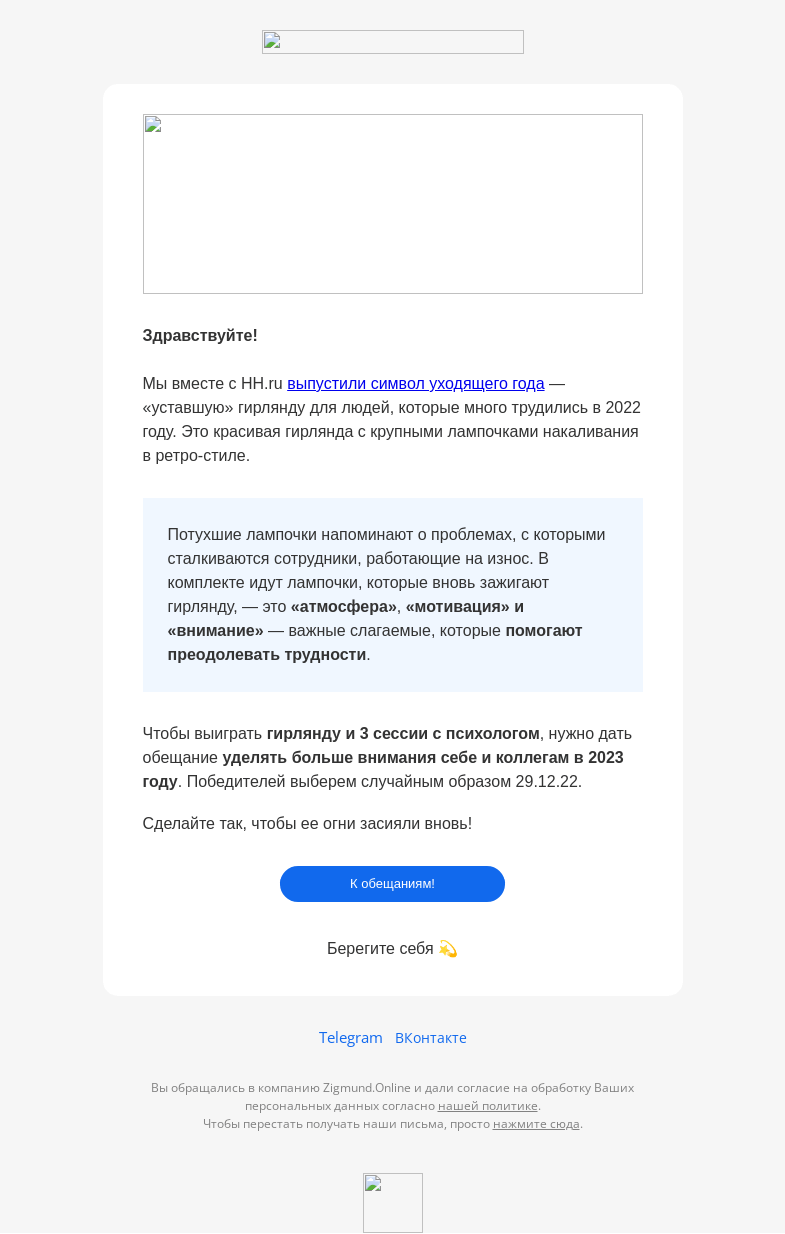Письмо компании «Zigmund.Online» на тему «Разыгрываем сессии и гирлянду»