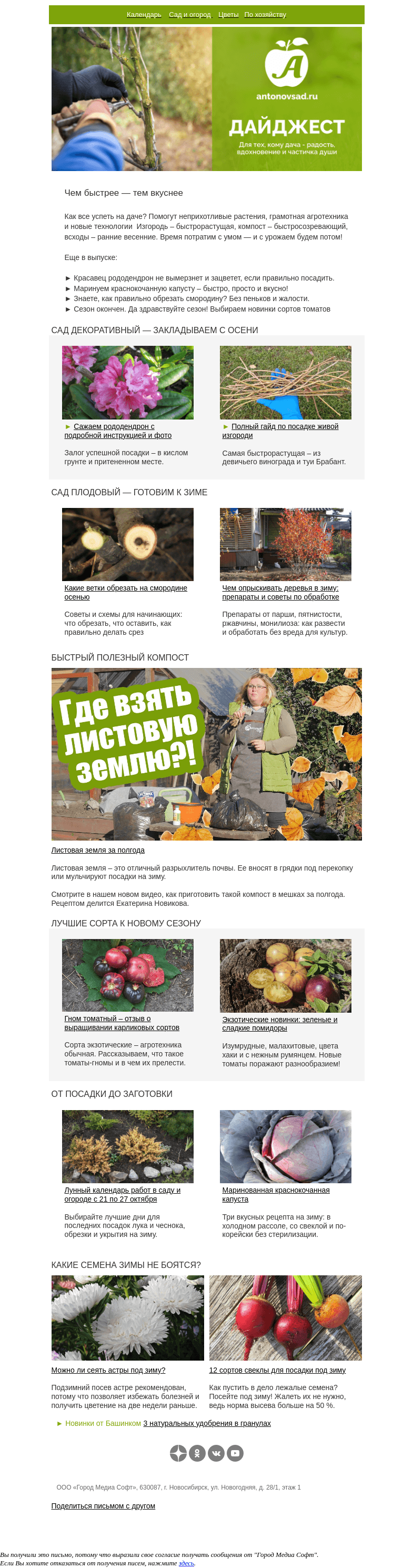 Письмо компании «Антонов сад» на тему «Схема обрезки смородины для начинающих 🌿»