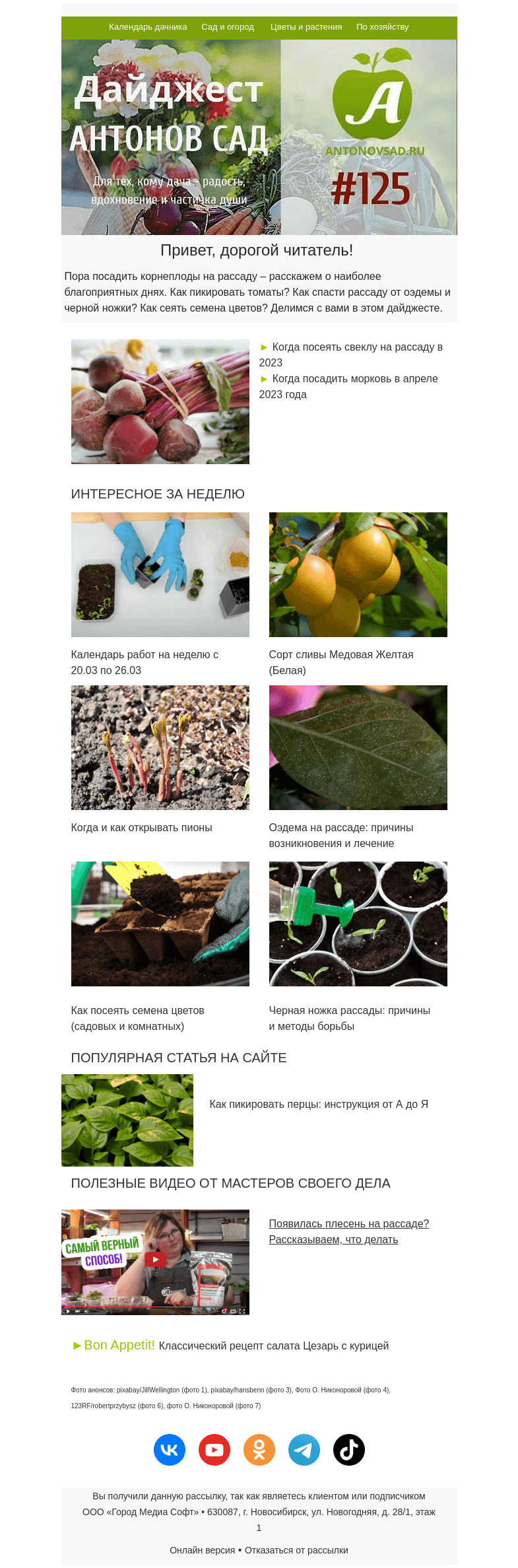 Письмо компании «Антонов сад» на тему «🌶Как пикировать перец? 🥕Когда посадить корнеплоды?»