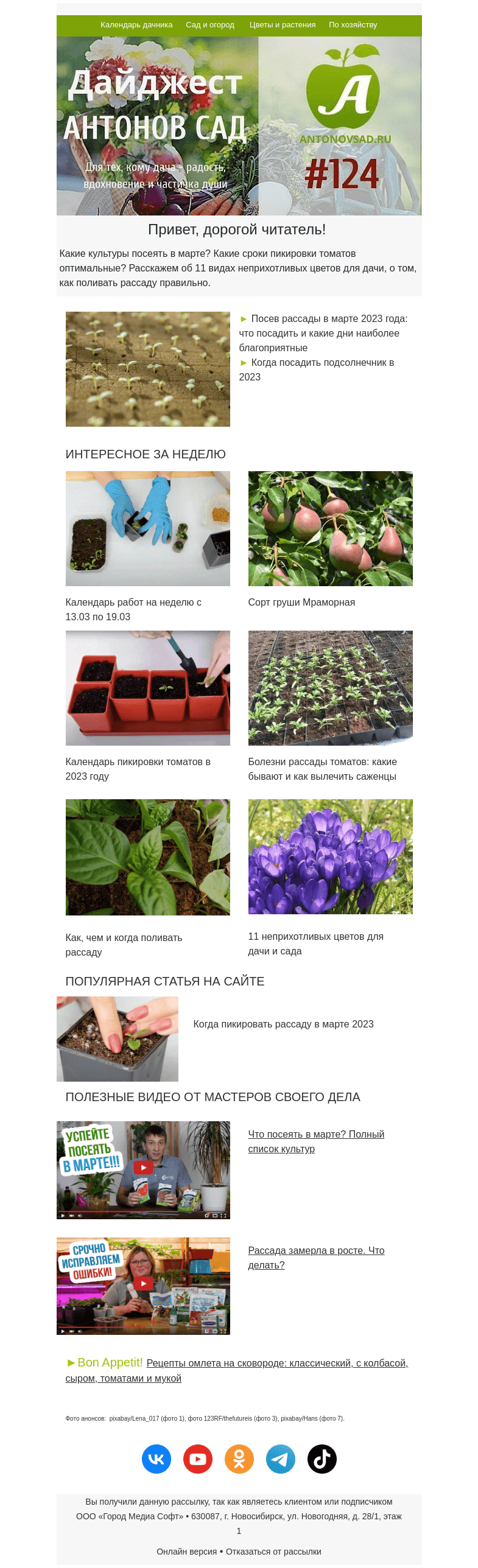 Письмо компании «Антонов сад» на тему «🍅💦Как поливать рассаду и защитить от болезней?»