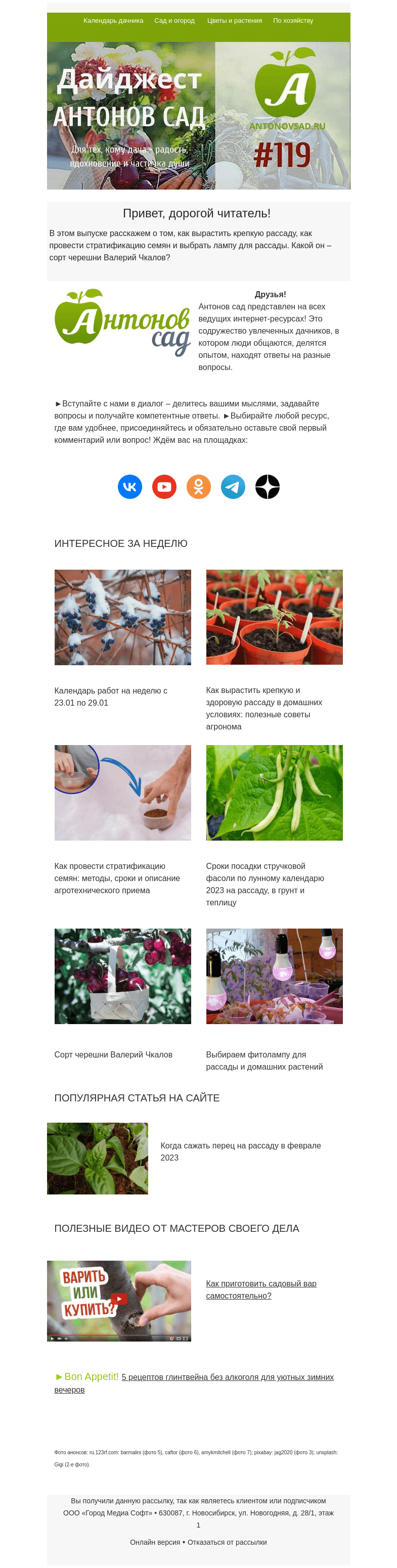 Письмо компании «Антонов сад» на тему «🌱Как стратифицировать семена, выбрать фитолампу и вырастить рассаду?»