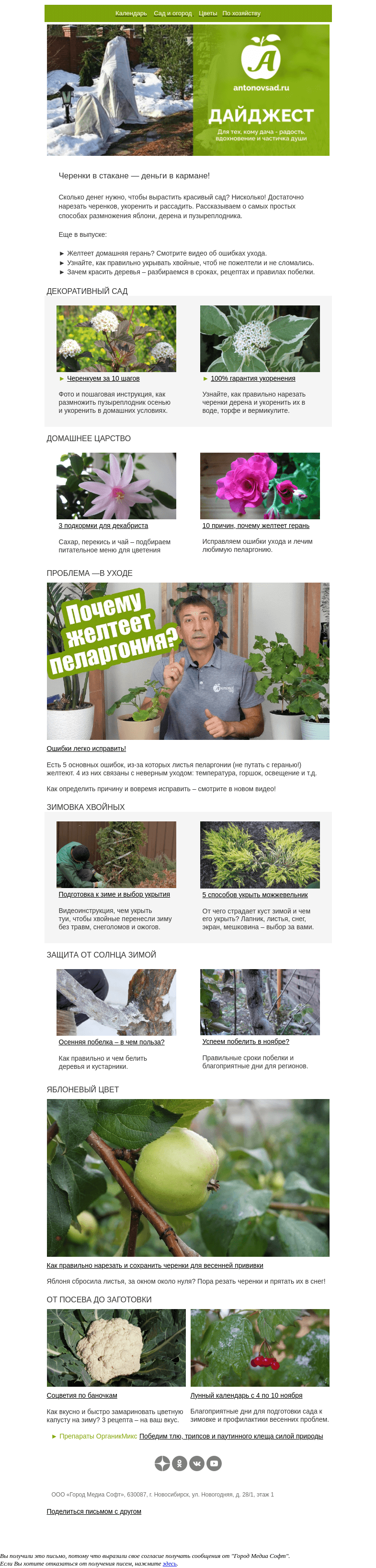 Письмо компании «Антонов сад» на тему «Легкий способ сэкономить – черенкуем дома🌿»