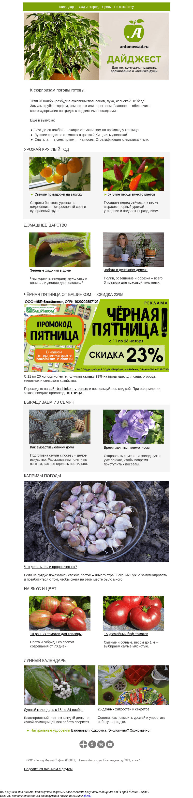Письмо компании «Антонов сад» на тему «А у нас пророс чеснок 🌱 А у вас?»