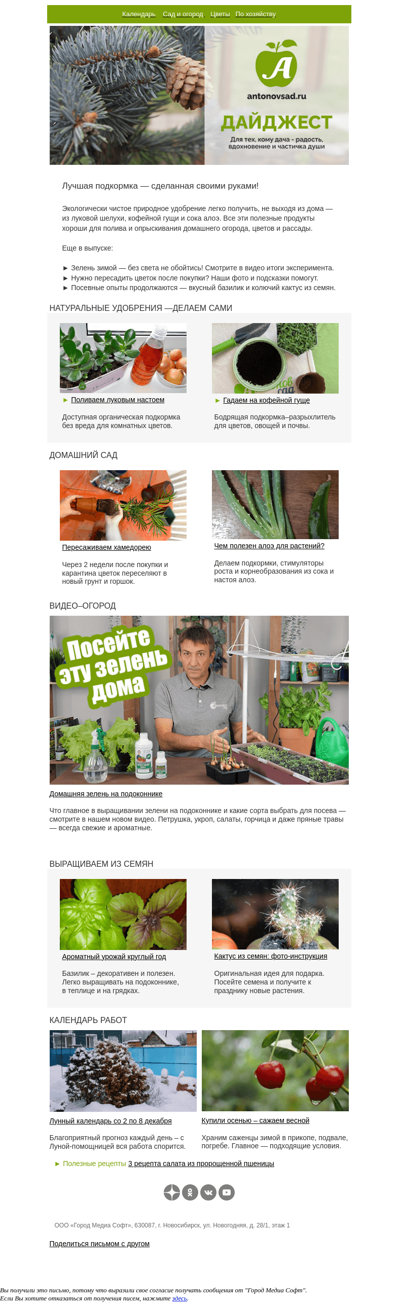 Письмо компании «Антонов сад» на тему «Что приготовить из лука, кофе и алоэ? 🌱 Суперподкормку!»