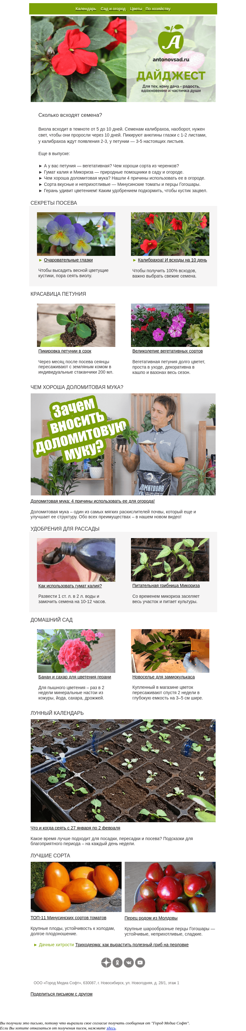 Письмо компании «Антонов сад» на тему «На свету или в темноте?🌱 Как и сколько всходят семена цветов»