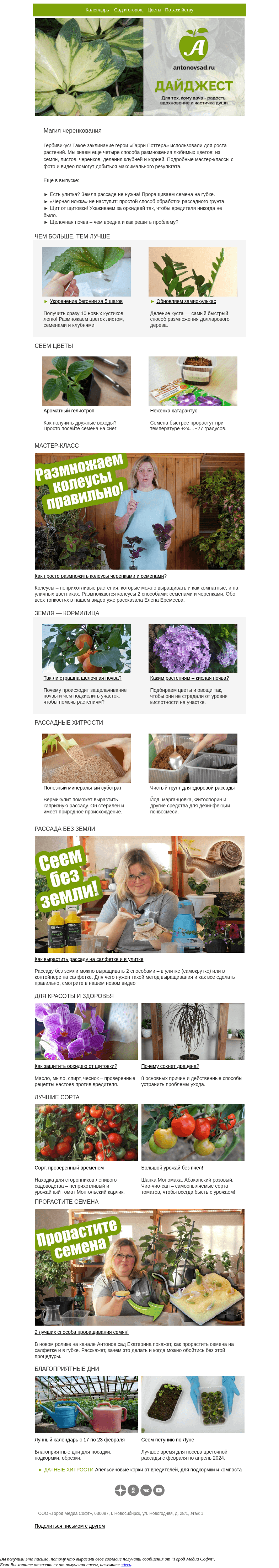 Письмо компании «Антонов сад» на тему «Семена — прорастить, черенки — укоренить🌱 Лучшие способы размножения»