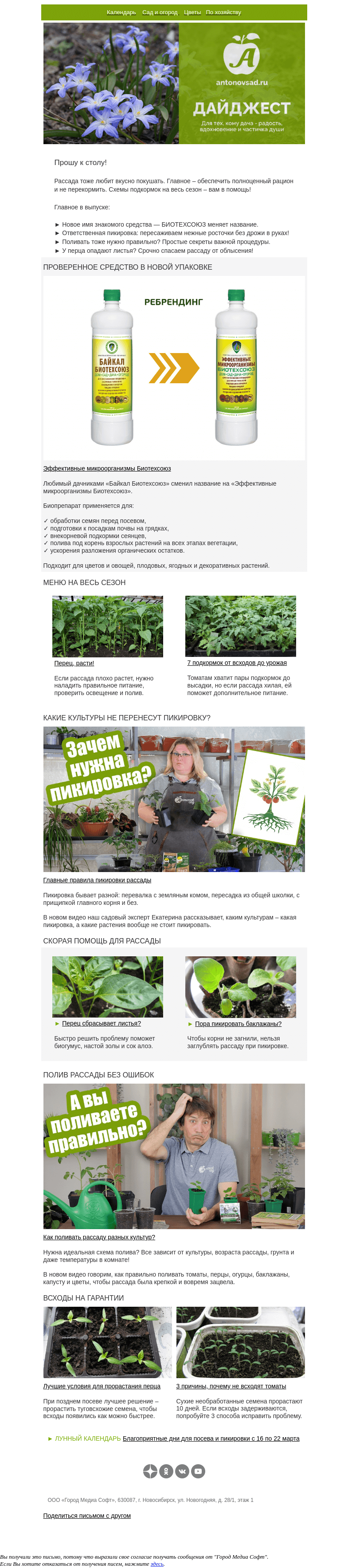 Письмо компании «Антонов сад» на тему «Пикируй с умом🌿Чтоб рассада прижилась, не загнила и быстро пошла в рост»