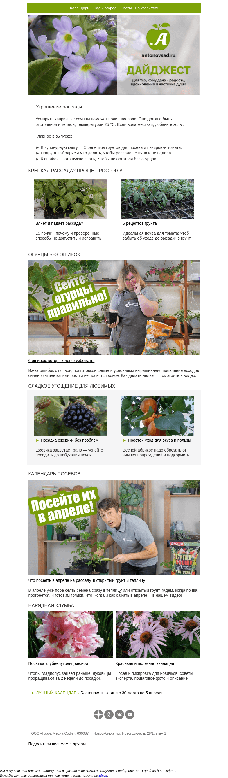 Письмо компании «Антонов сад» на тему «Рассада бодрячком!🍅Спасаем вялые томаты, перцы, огурцы»