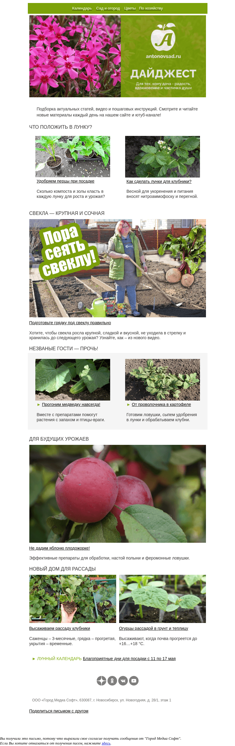 Письмо компании «Антонов сад» на тему «Что положить в лунки?🌱Эти удобрения должны быть у каждого дачника!»