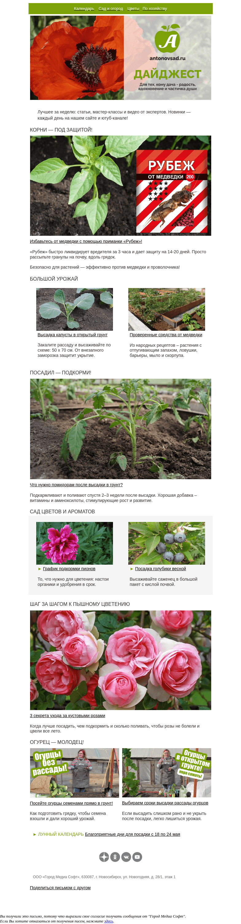 Письмо компании «Антонов сад» на тему «3 шага к успешной высадке🌱Томаты, огурцы, капуста – закалить, укрыть, подкормить»