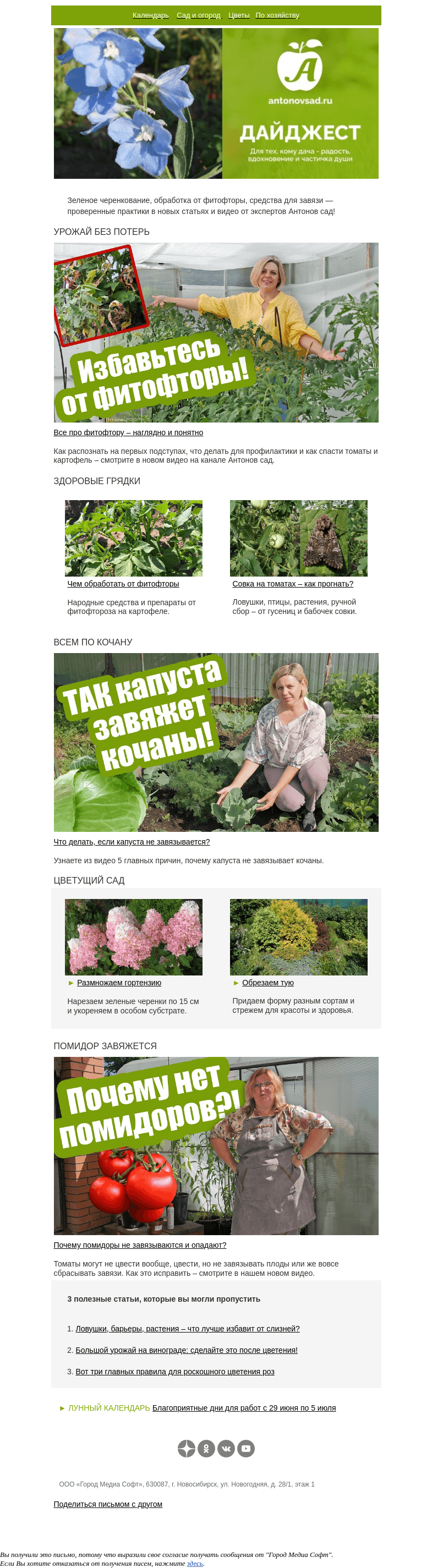 Письмо компании «Антонов сад» на тему «С фитофторой поборемся!🍅Чем лучше обработать картофель и томаты»