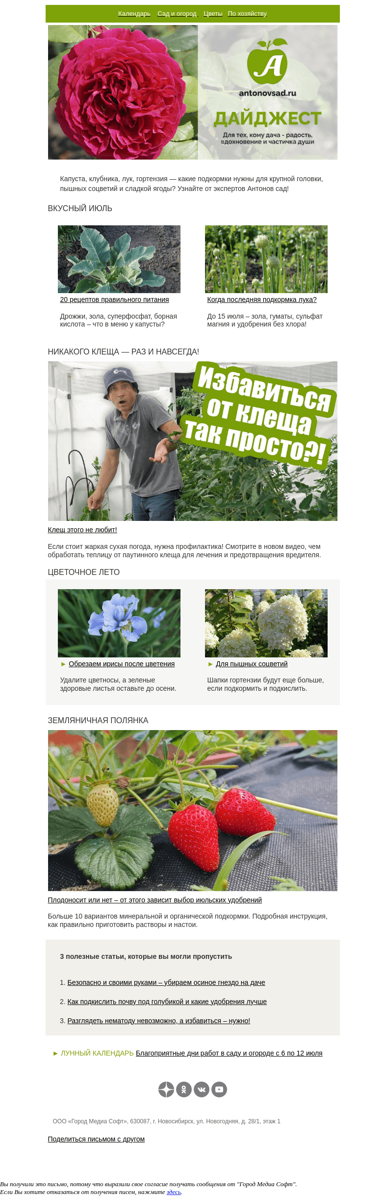 Письмо компании «Антонов сад» на тему «Сколько подкормок нужно в июле?🍓Много рецептов для лука, капусты, клубники»