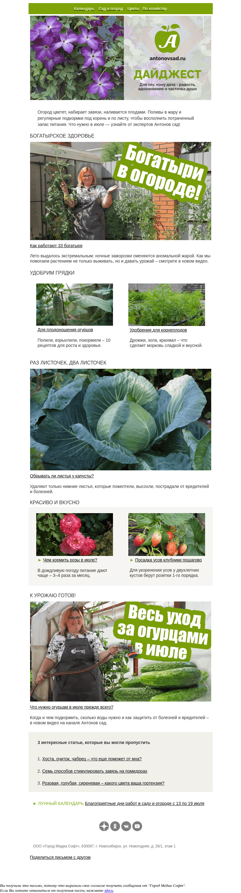 Письмо компании «Антонов сад» на тему «Укореняем клубничные усы🍓Пошагово с понятным описанием»