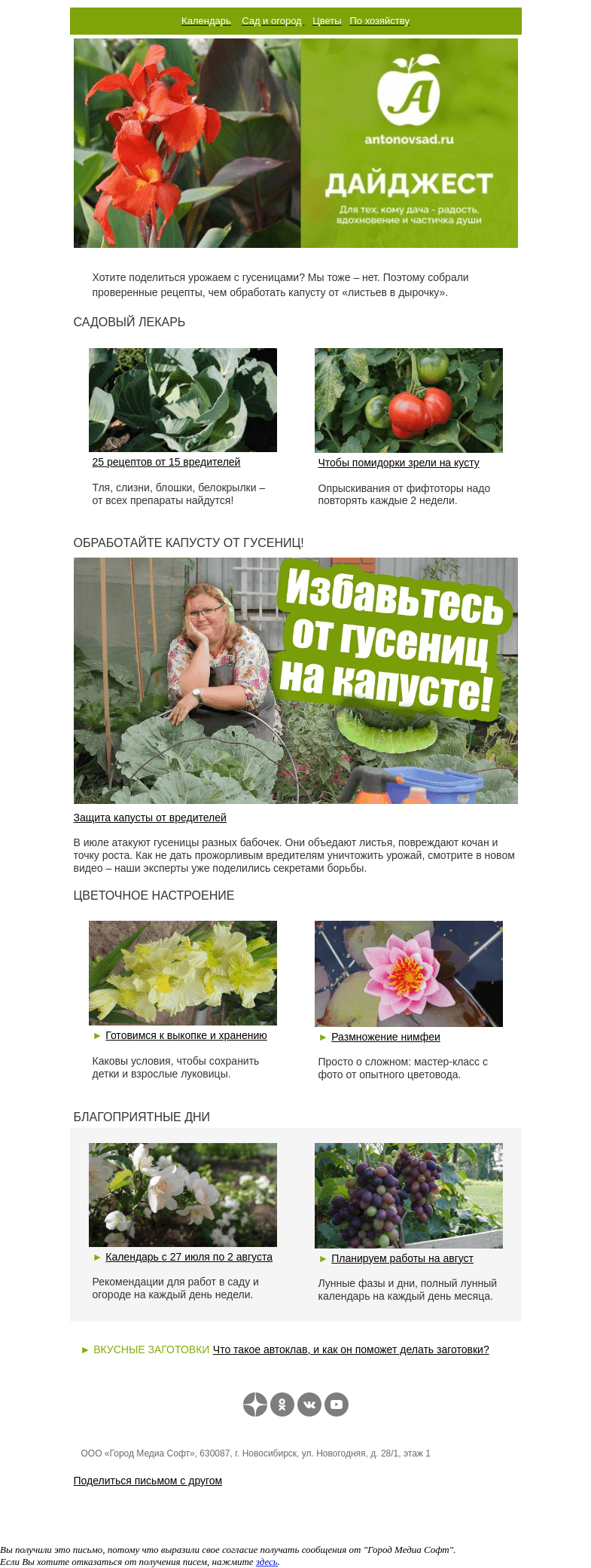 Письмо компании «Антонов сад» на тему «25 способов спасти капусту от 15 вредителей🐛🥦»