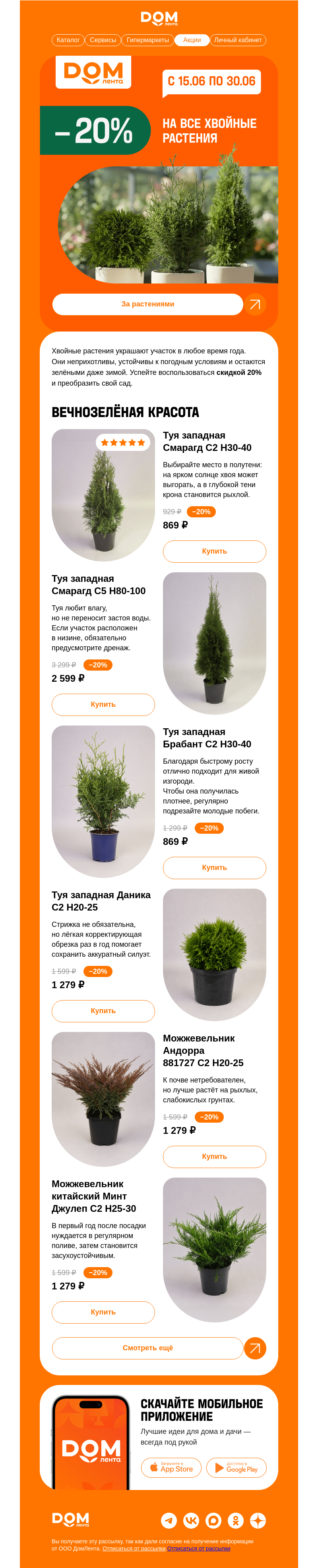 Письмо компании «ДОМ ЛЕНТА» на тему «−20% на хвойные растения»