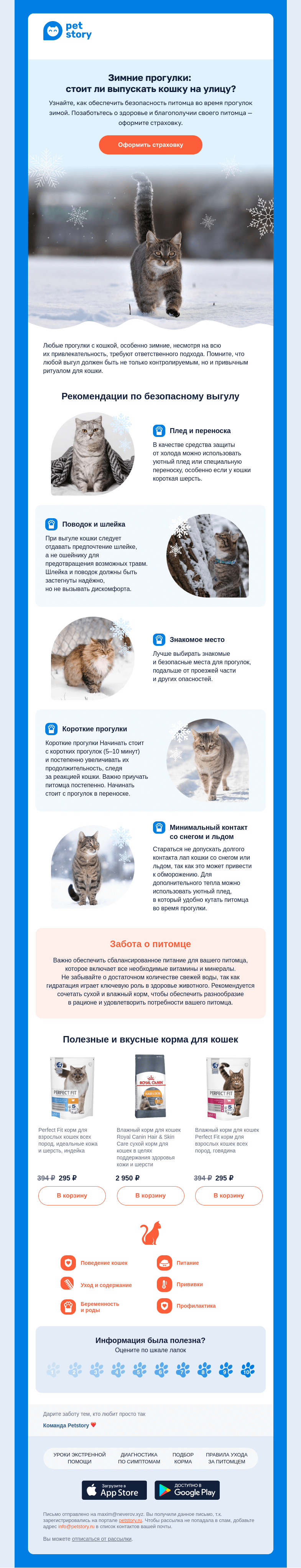 Письмо компании «Petstory» на тему «🐈‍⬛❄️ Зимние прогулки с кошкой: что нужно учесть»