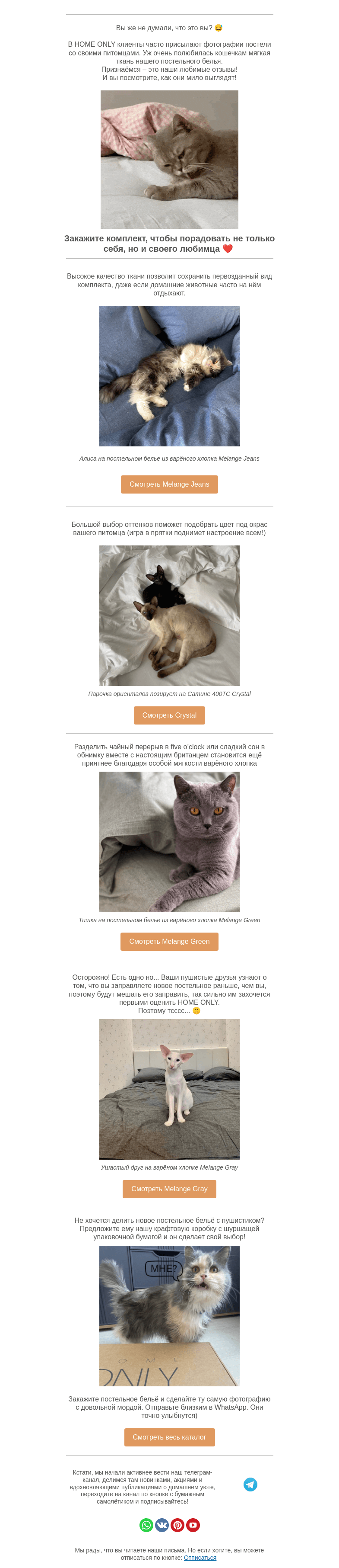 Письмо компании «Home Only» на тему «Кто в доме хозяин? 🐈🐈🐈»