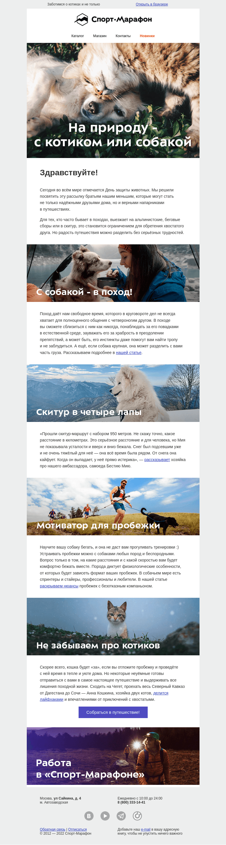 Письмо компании «Спорт-Марафон» на тему «О братьях наших меньших»