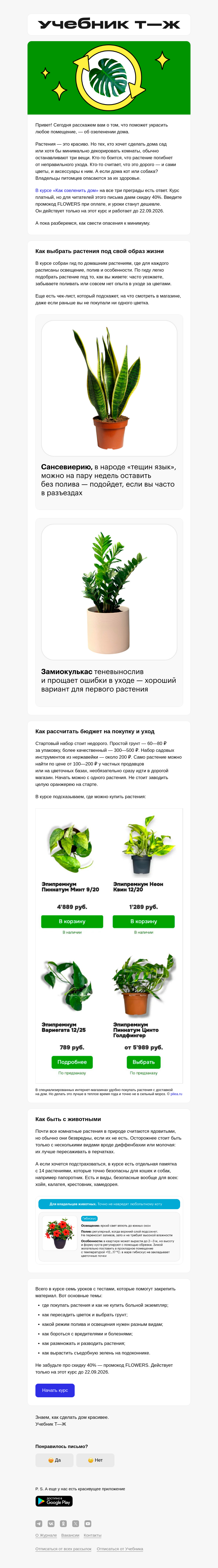 Письмо компании «Учебник Т—Ж» на тему «Хочу растения дома, но...»