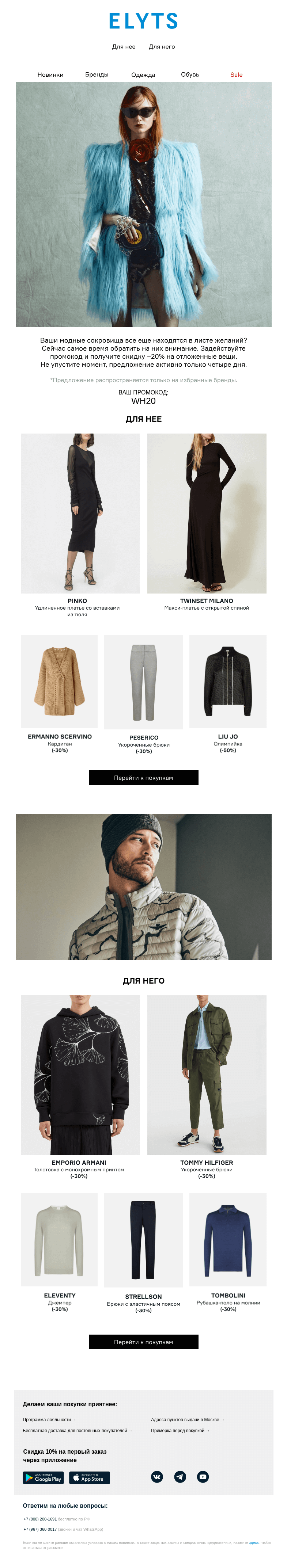 Письмо компании «ElytS» на тему «–20% на wish list»