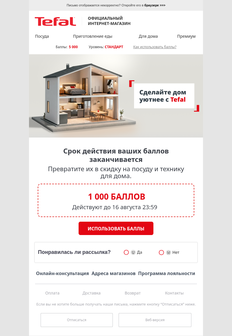 Письмо компании «Tefal» на тему «Срок действия баллов истекает через 5 дней»