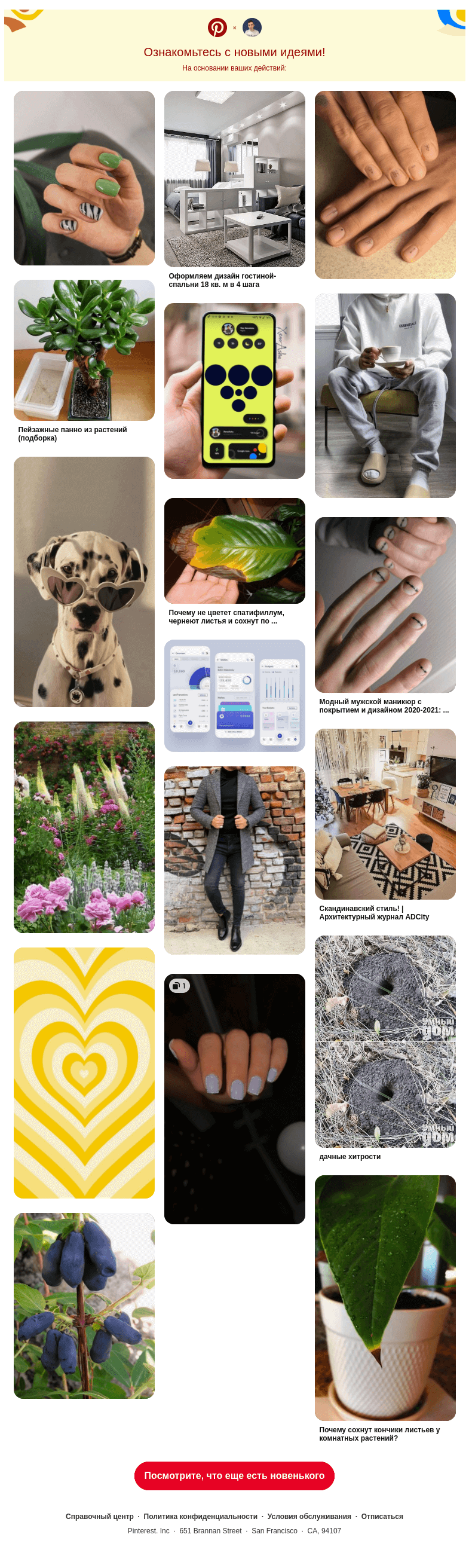 Письмо компании «Pinterest» на тему «18 новых идей для вас»