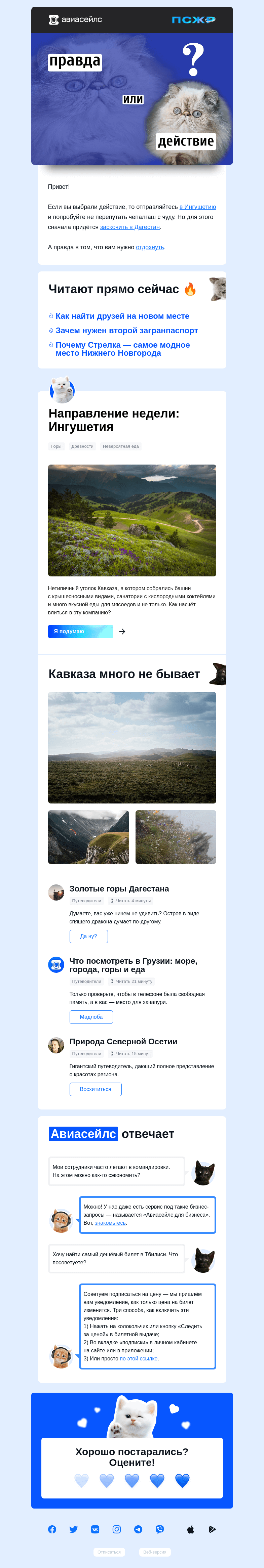 Письмо компании «Авиасейлс» на тему «Правда или действие?»