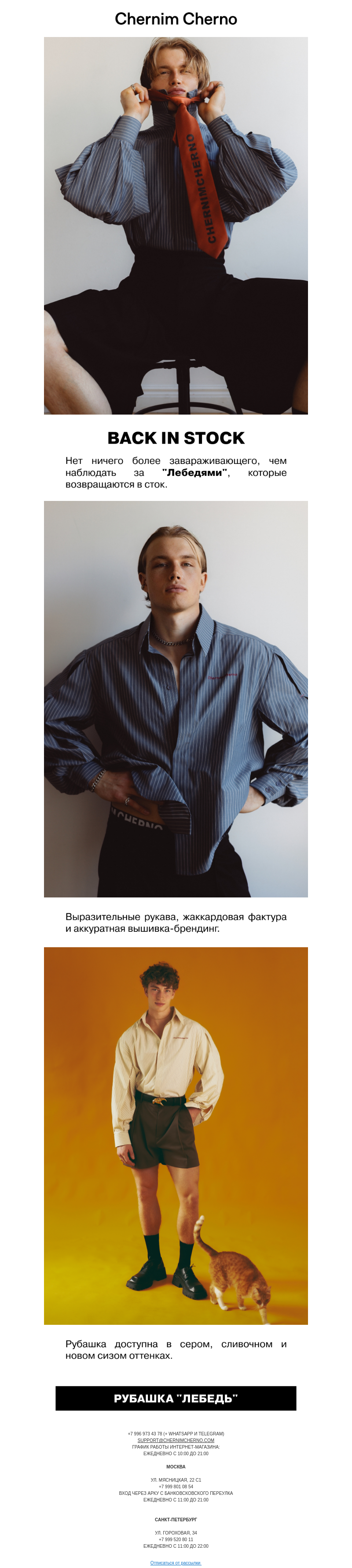 Письмо компании «Chernim Cherno» на тему «Лебеди прилетели🦢»