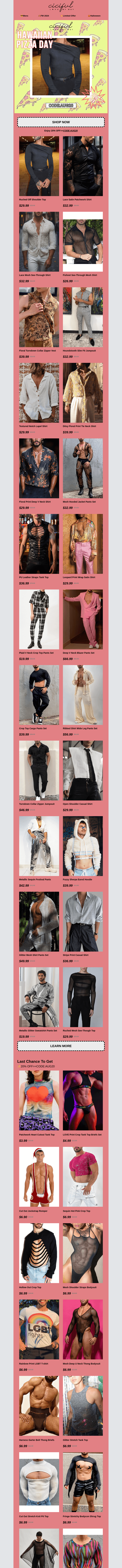 Письмо компании «Ciciful» на тему «🍕For Love of Pizza⭐For Love of Fashion»