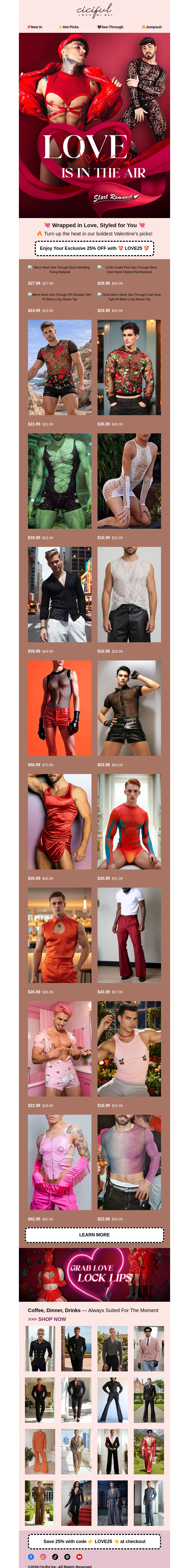 Письмо компании «Ciciful» на тему «Love at First Fit – 25% OFF Everything 💘»