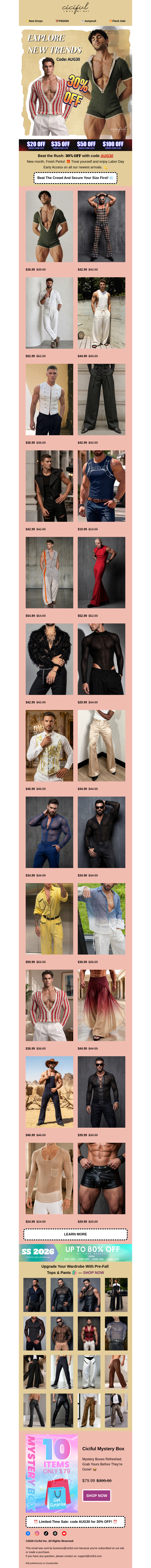 Письмо компании «Ciciful» на тему «30% OFF Everything Early Access 🎁»